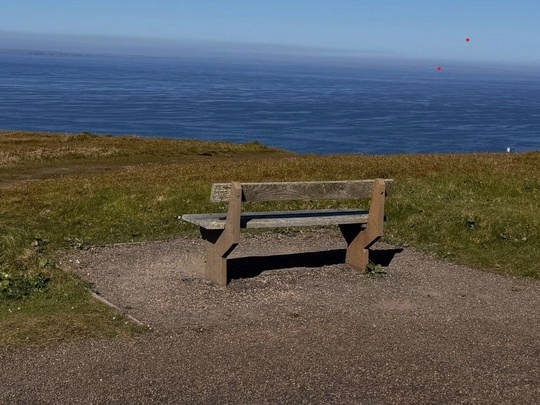 Der Mann von heute — Auslaufmodell oder Neuentwurf?
