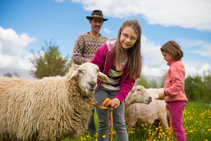Lust auf Schaf? Ein tierischer Spaziergang! | © IGGF Marktoberdorf