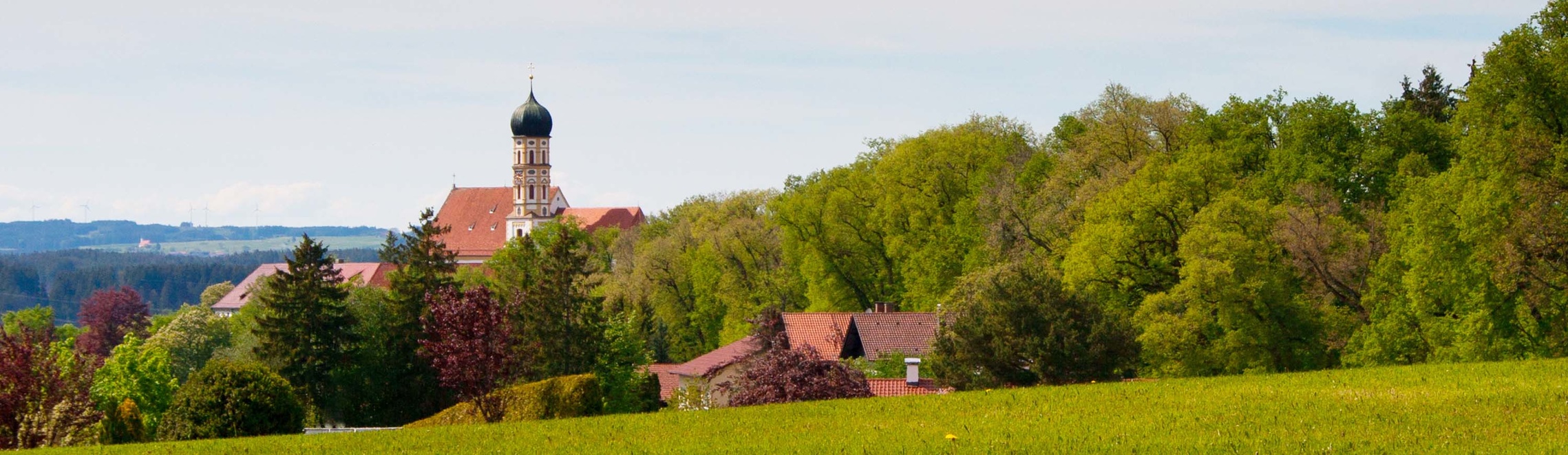 Martinskirche mit Allee | © Stefan Schmid