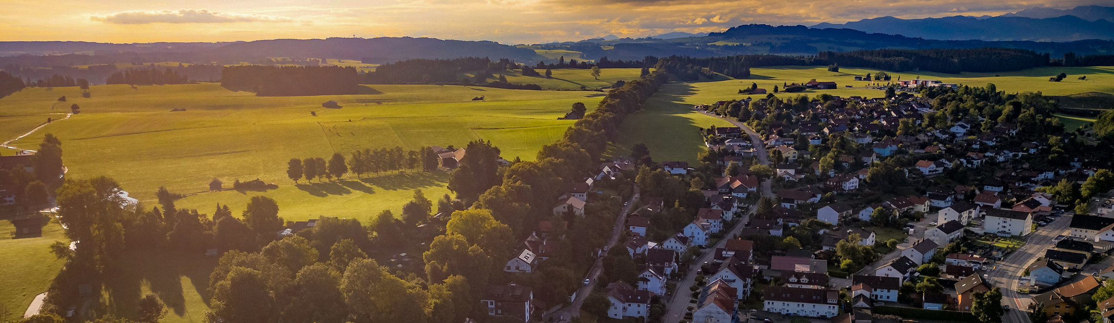 Sonnenaufgang Lindenallee | © Thomas Häring