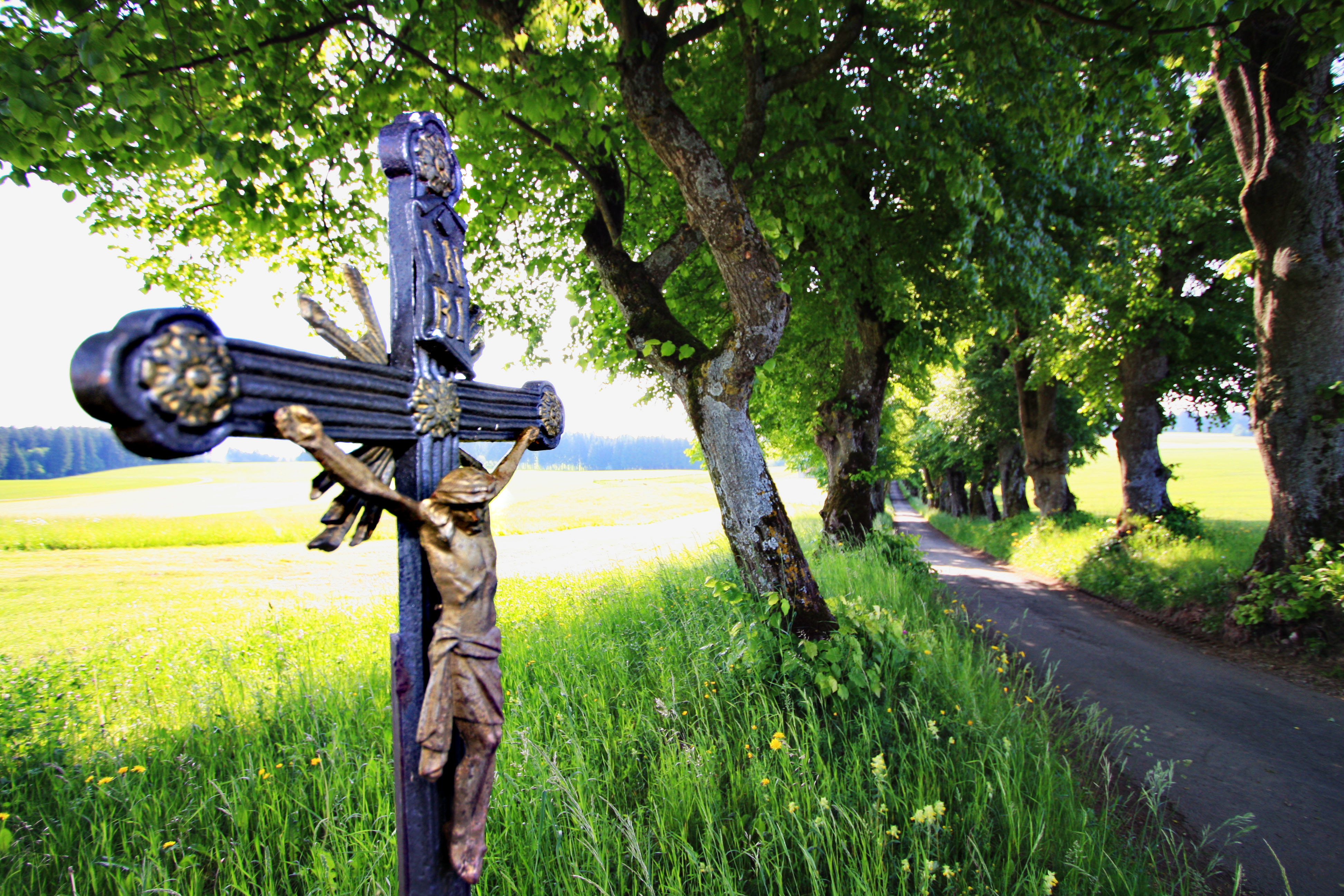 Wegekreuz in der Lindenallee | © Sabrina Schindzielorz