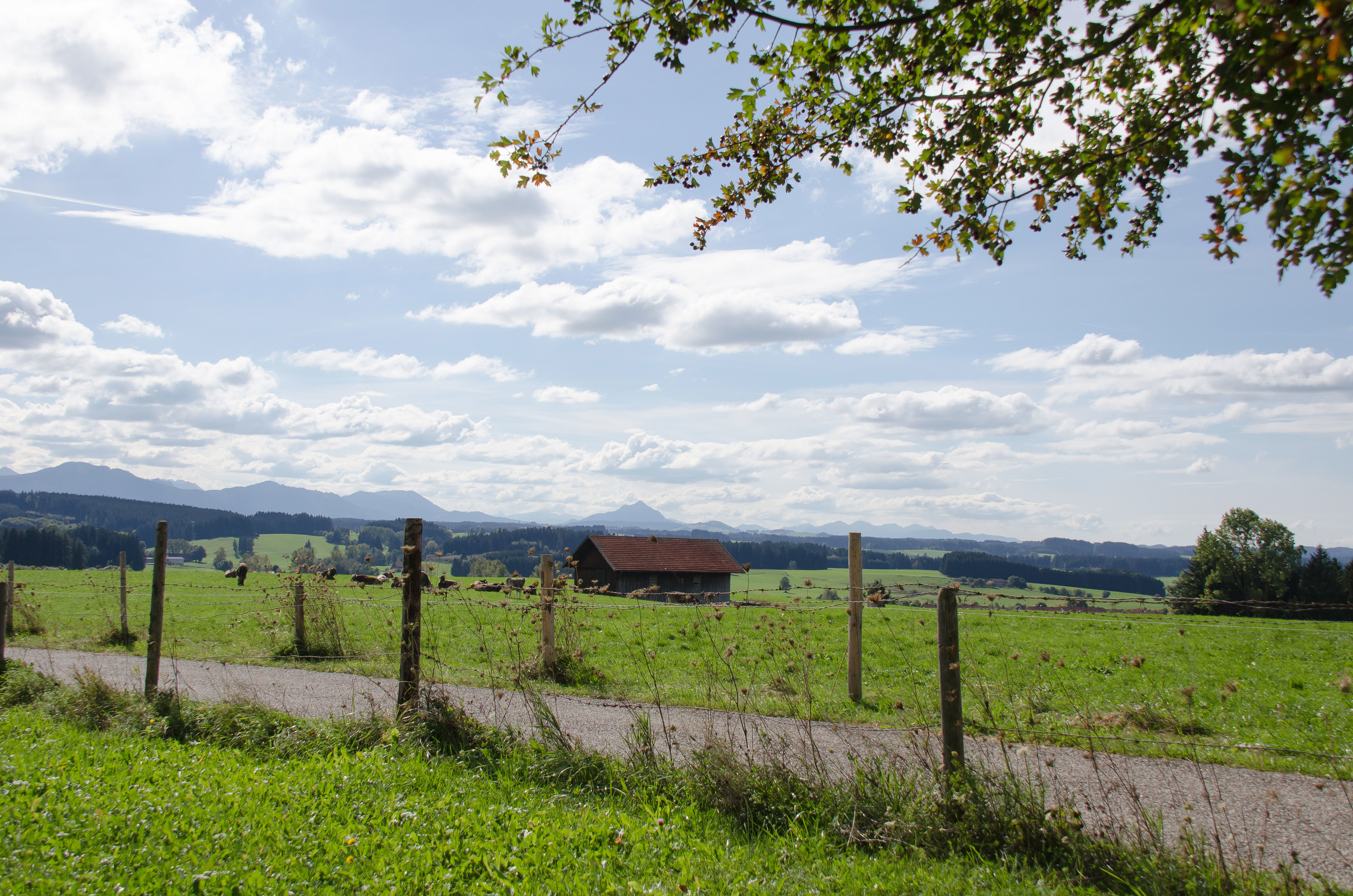 Blick von der Buchel | © Stefan Schmid