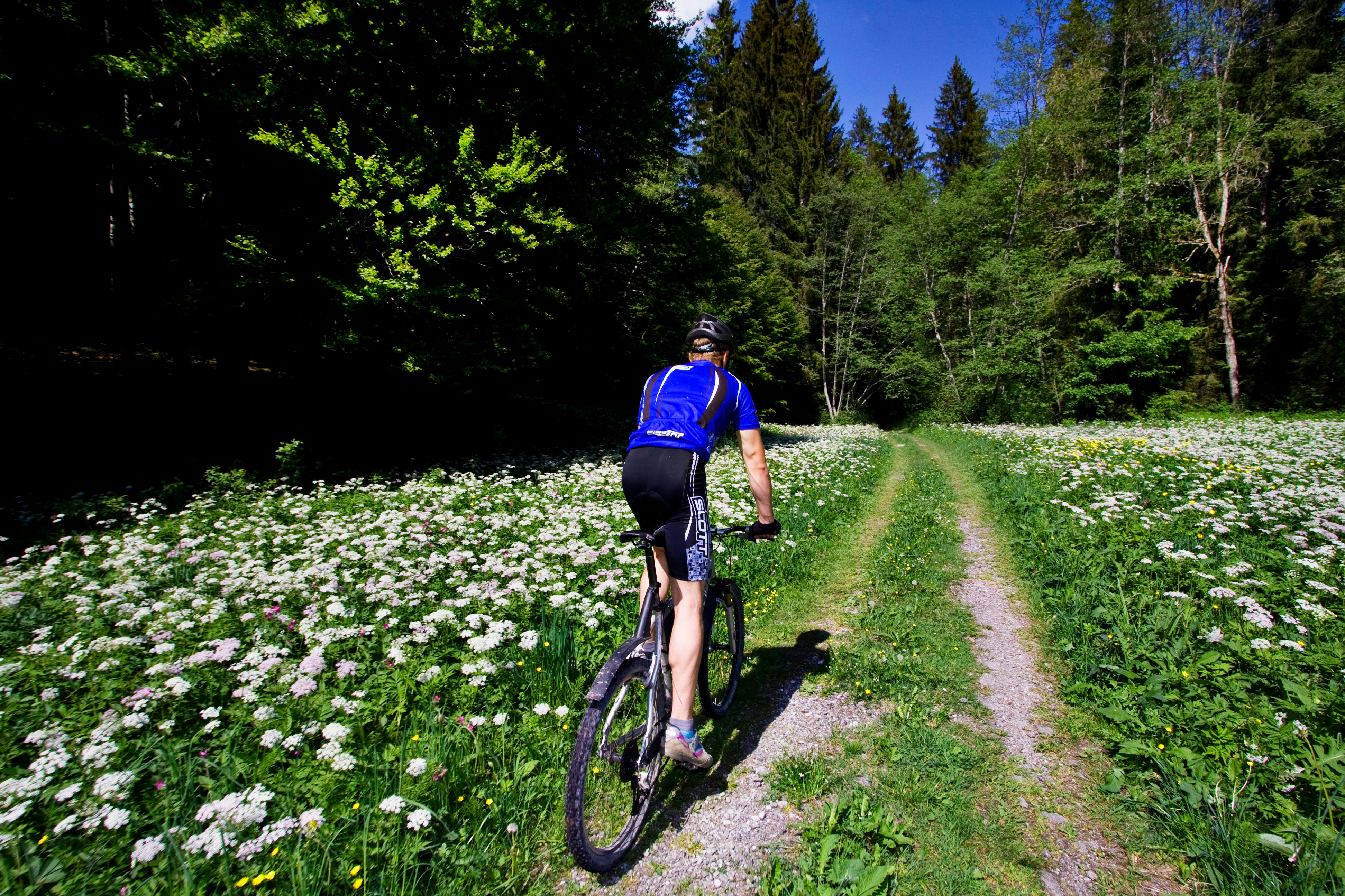 MTB-Fahrer | © Sabrina Schindzielorz