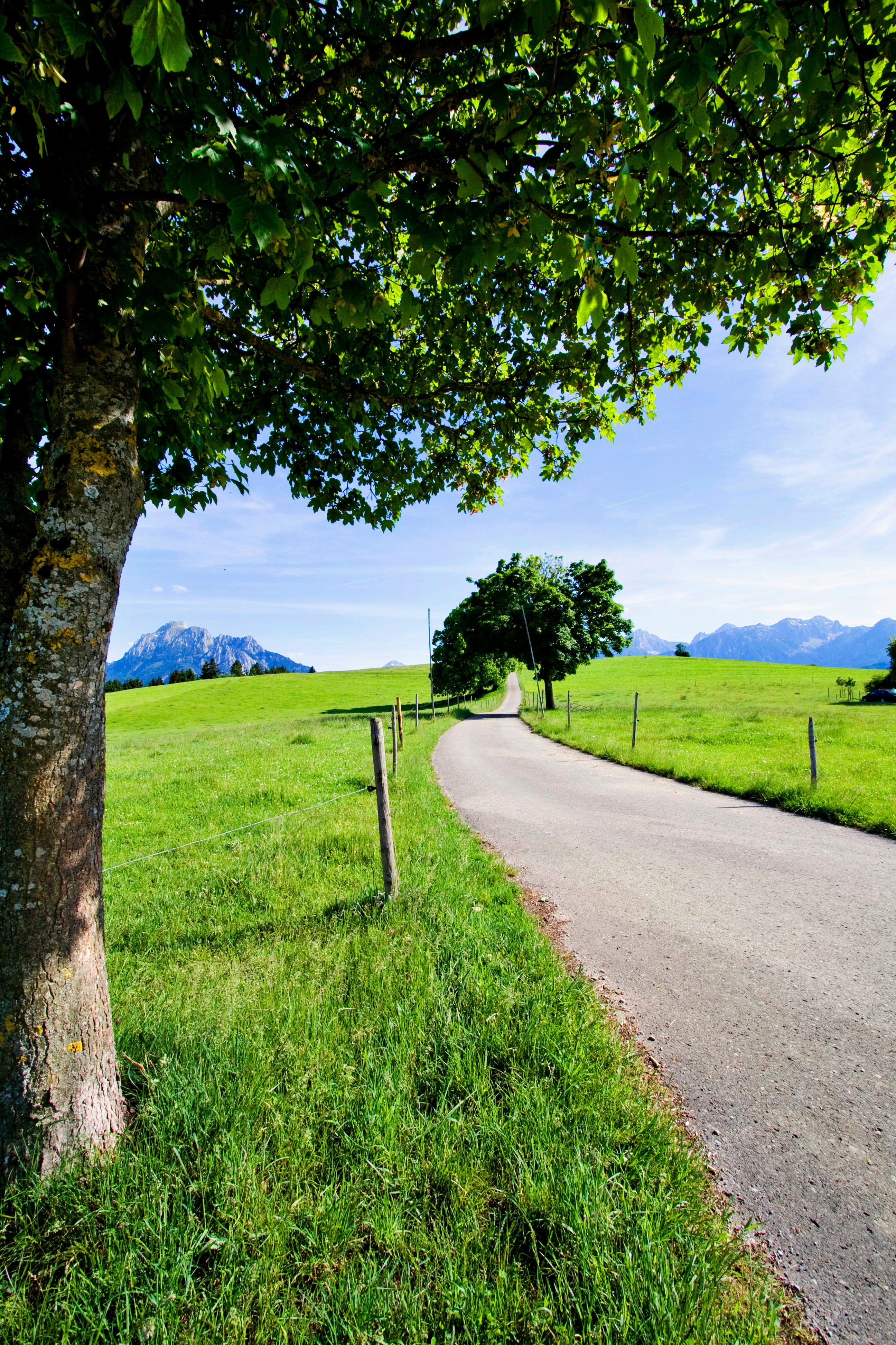 Radweg bei Sulzschneid | © Sabrina Schindzielorz