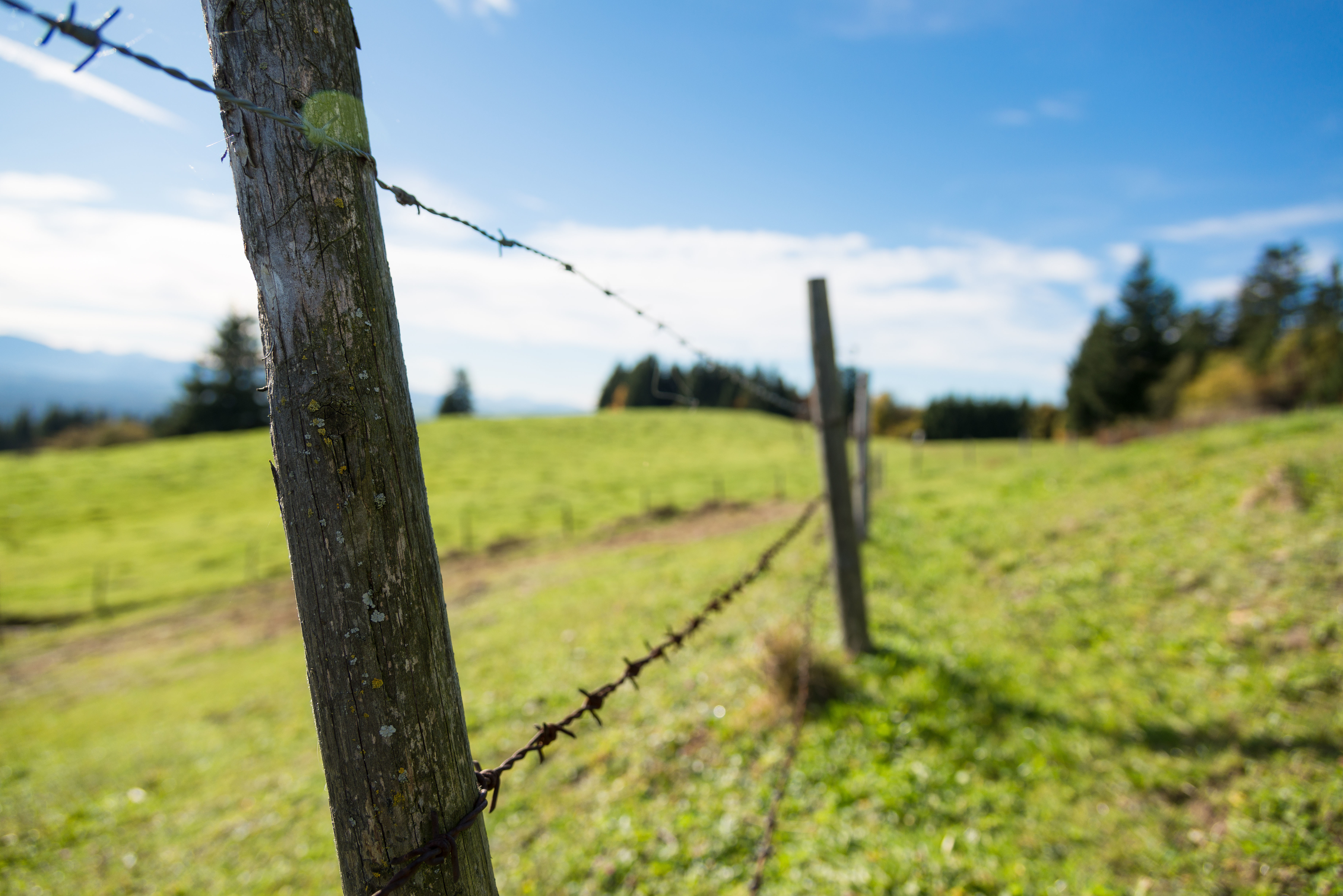 Zaun entlang eines Wanderweges | © Stefan Schmid