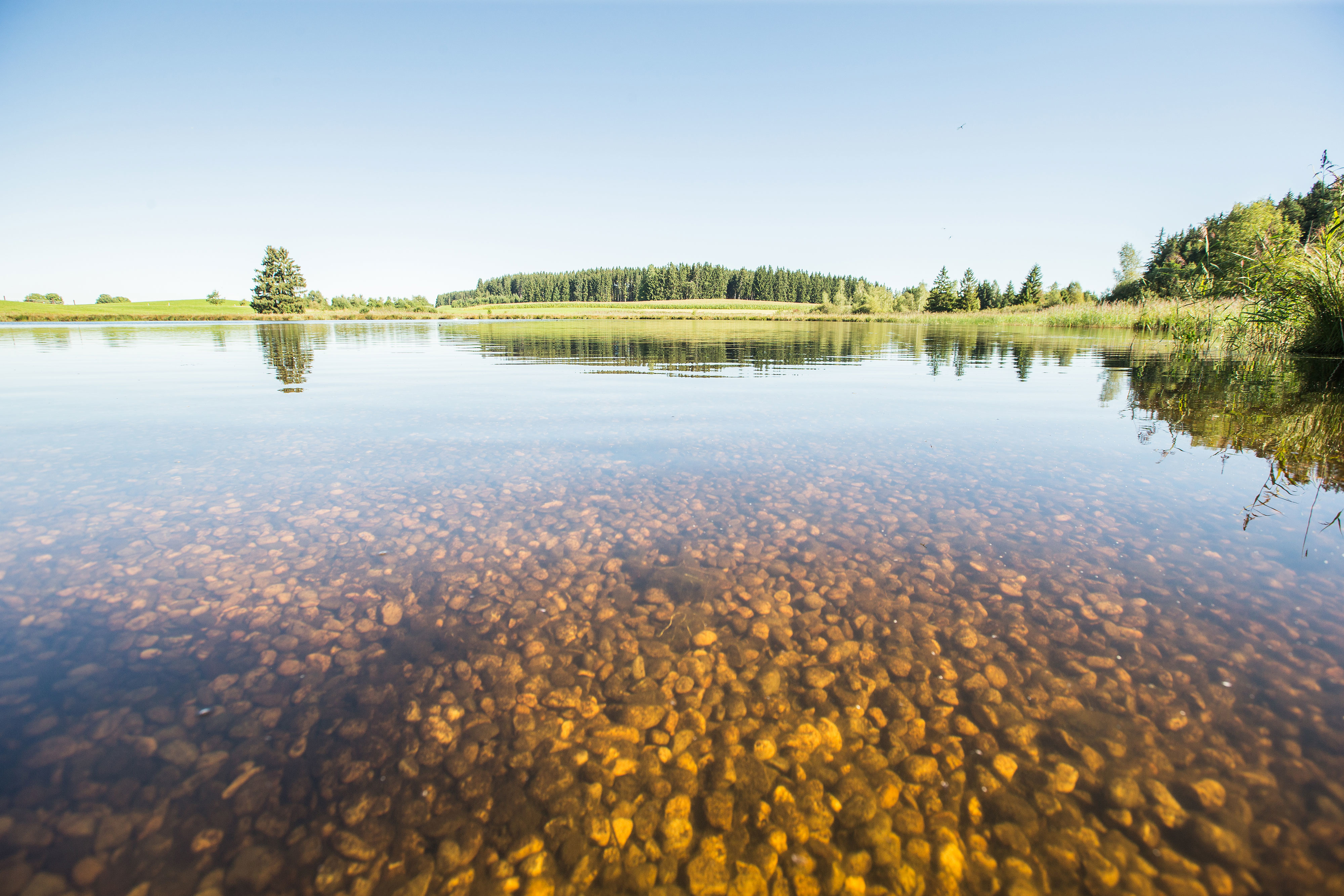 Kuhstallweiher | © Christoph Jorda