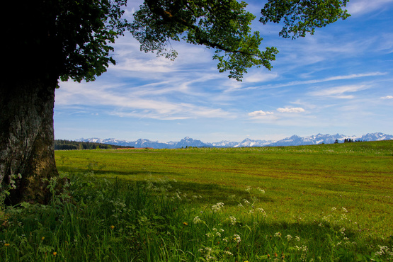 Landschaft | © Stefan Schmid