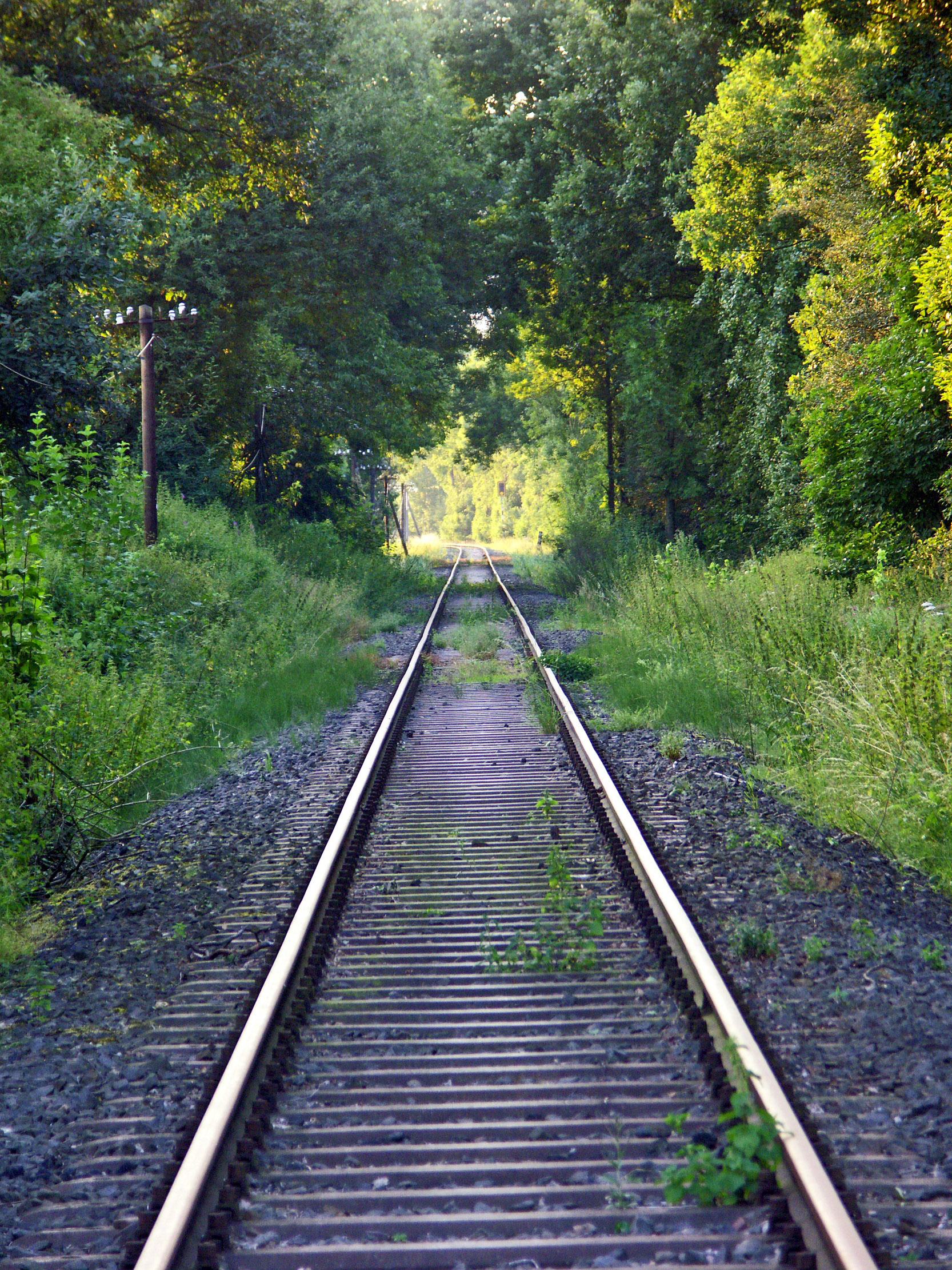 Bahnlinie | © Vangio - Fotolia.com