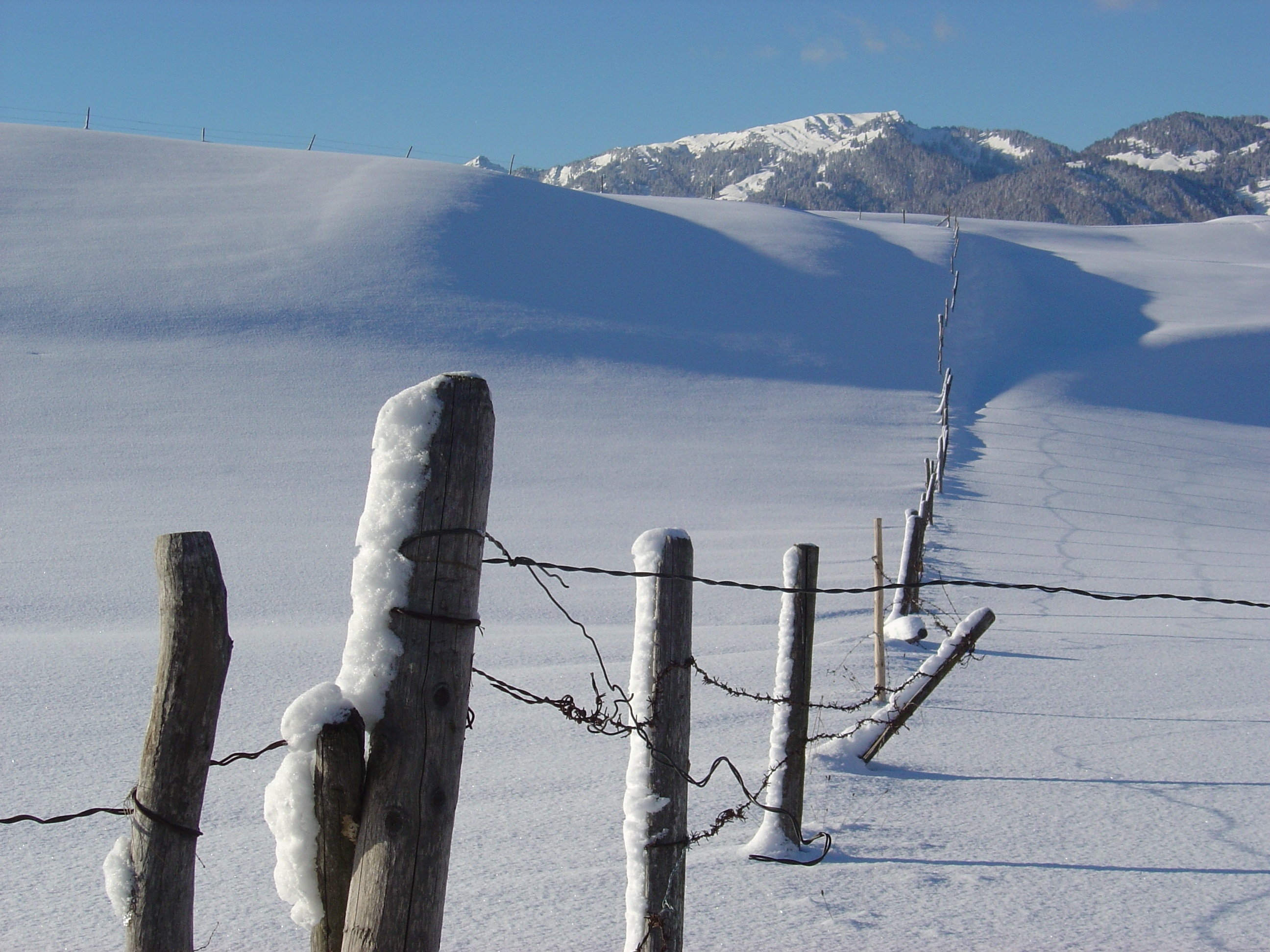 Winterlandschaft | © Sascha Duffner - fotolia.com