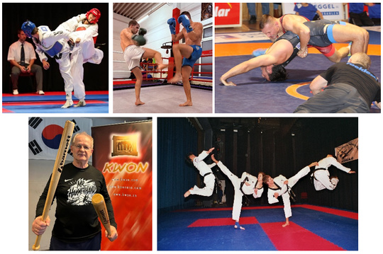5. TGA Kampfsport Gala 2026