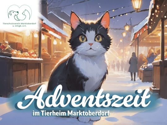 Adventszeit im Tierheim Marktoberdorf