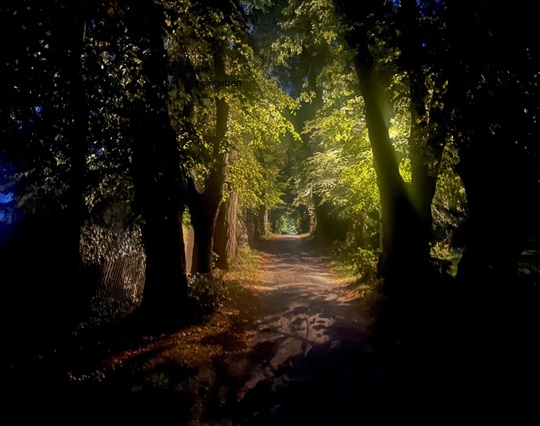 Schumanns Schatten, eine musikalische Lesung